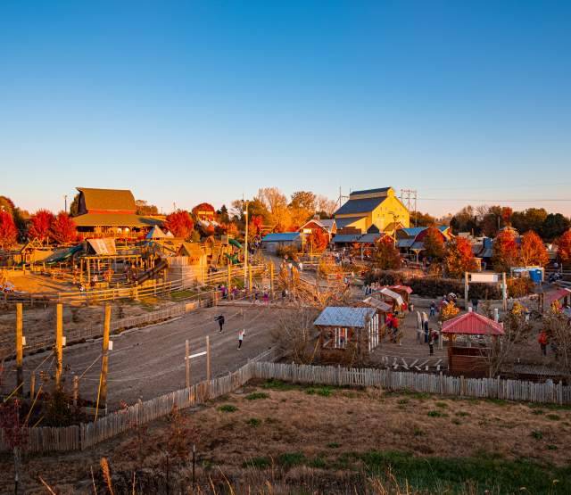 Vala's Pumpkin Patch view