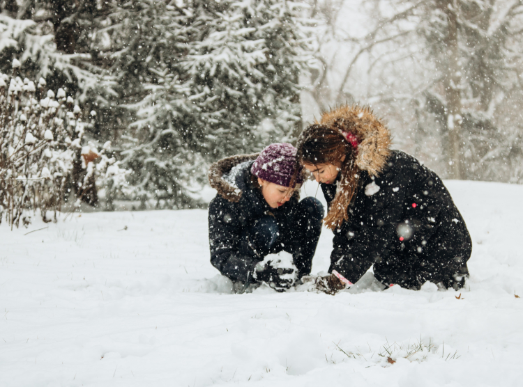 Murdock Park Winter