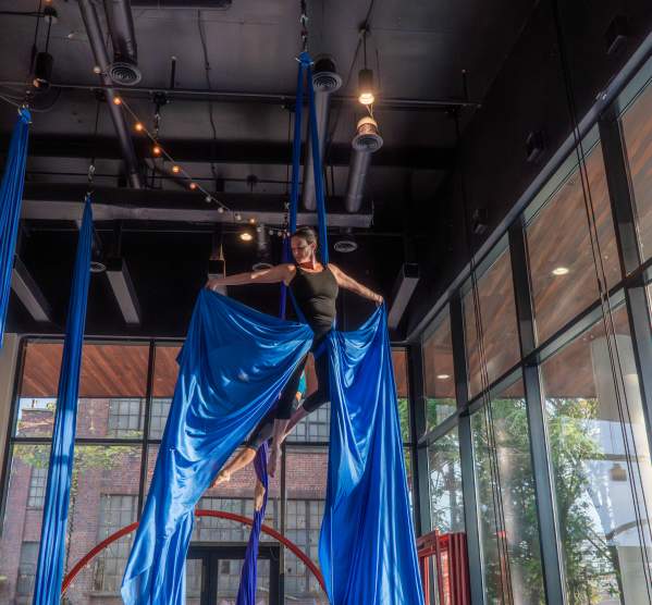 Host of Sparrows - Manchester Spotlight