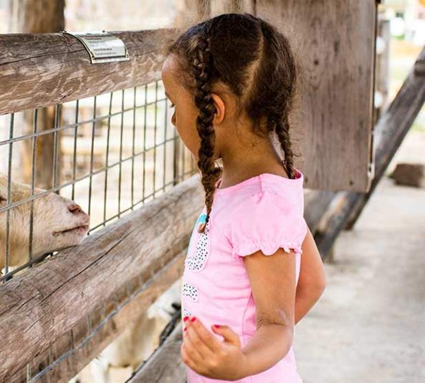 Child interacting with goats at Deanna Rose Children's Farmstead
