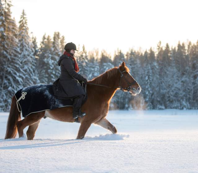Woman Riding a Horse in Snow