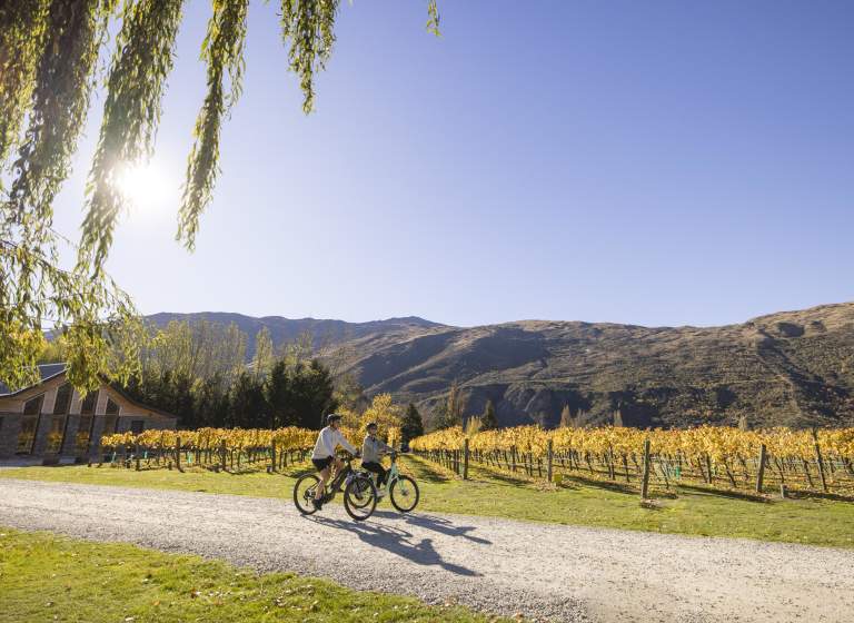 A man and woman biking in Kinross Winery, Gibbston with vines and mountains in the background