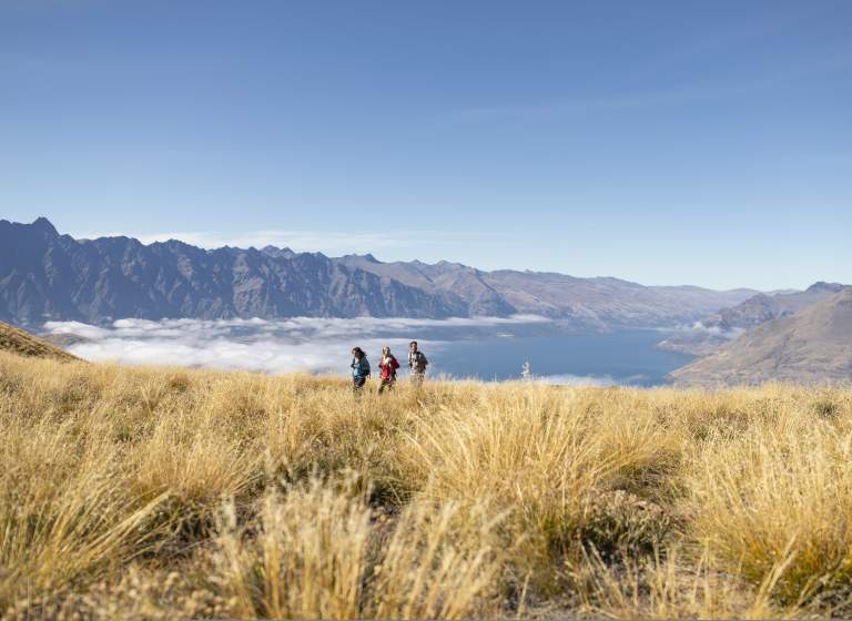 Ben Lomond Hiking