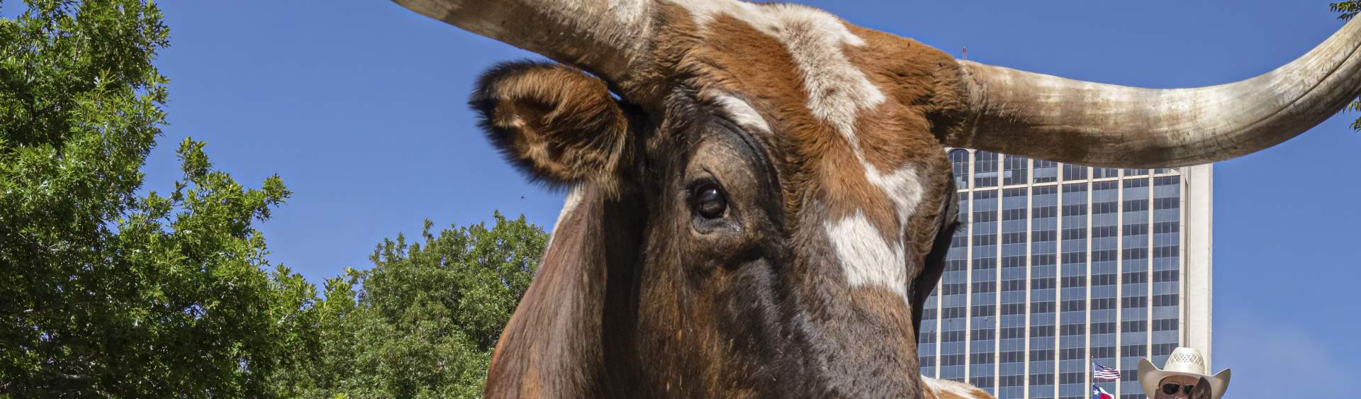 Cattle Drive Parade FAQ