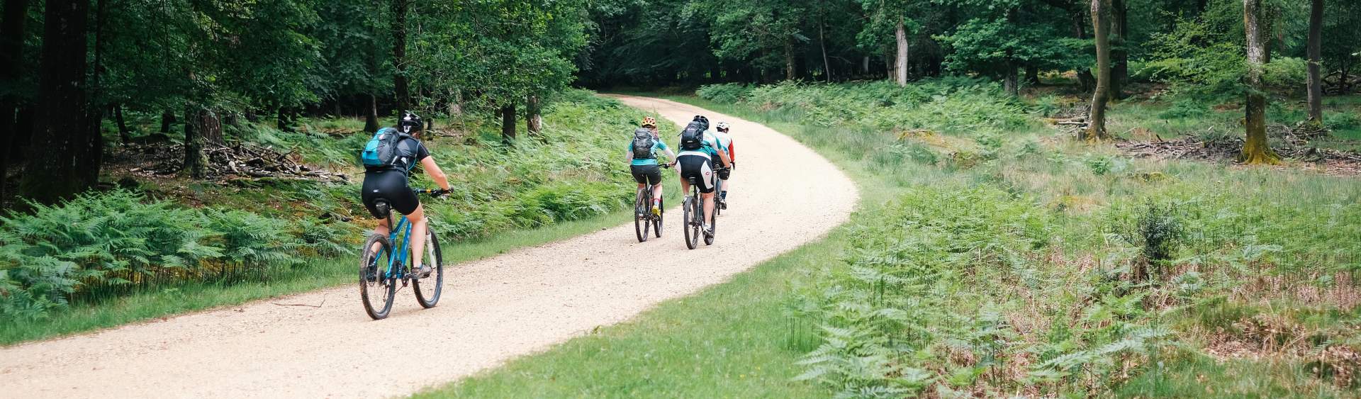 The New Forest by bike guide