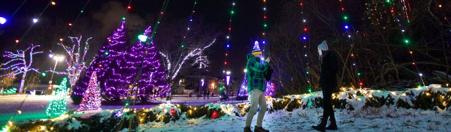 Bright Lights. Big Magic. Niagara Flips The Switch on Winter Wonder