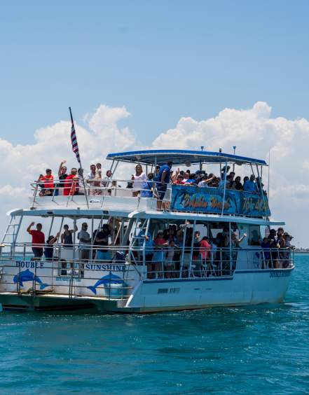 The Original Dolphin Cruise on the Bay