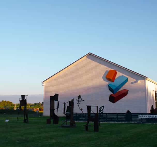 Mann Gallery