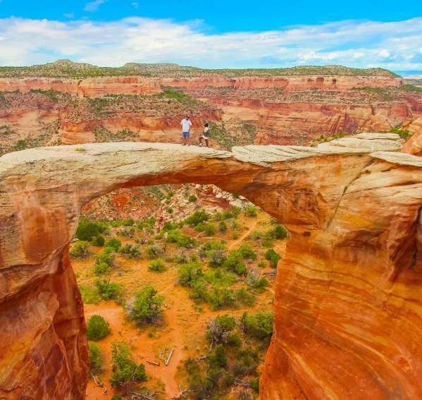 Rattlesnake Canyon Arches