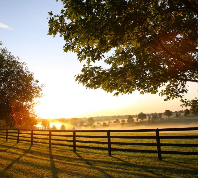 The sun rises over misty rolling green hills dotted with trees at Jonabell Farm.