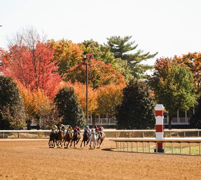 Keeneland Fall