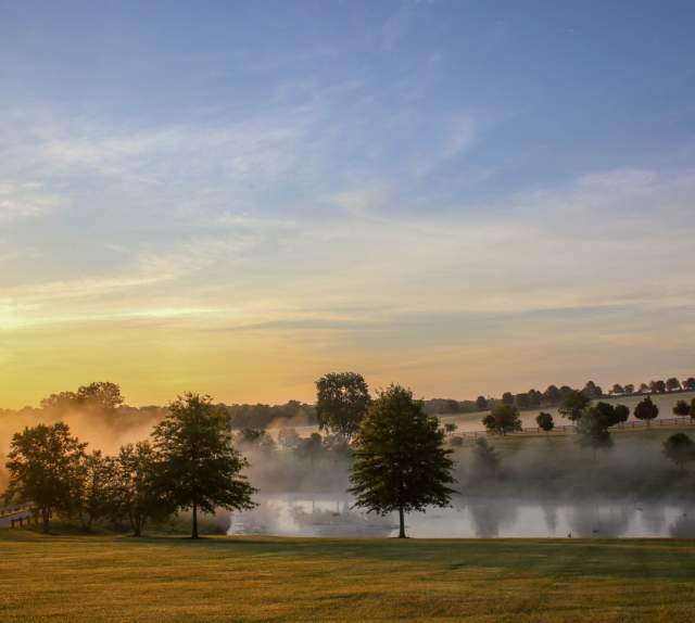 Darley Farm