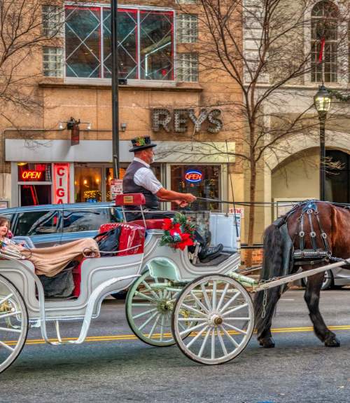 A white horse-drawn carriage decorated with Christmas garland and lights trots down Main Street in downtown Greenville, SC.