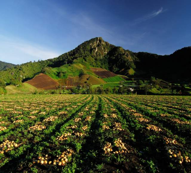 Chiriqui