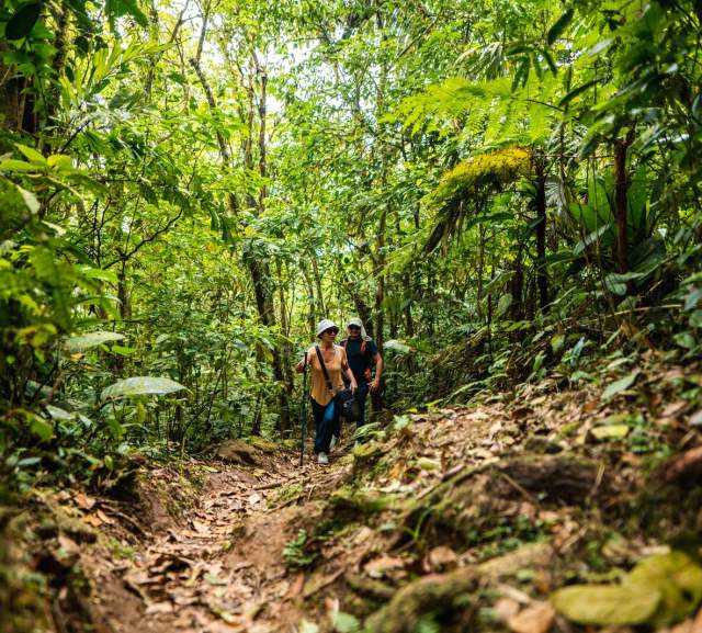 Visitantes caminan a través de la selva en el Cerro Graital, en El Valle de Antón, Panamá.