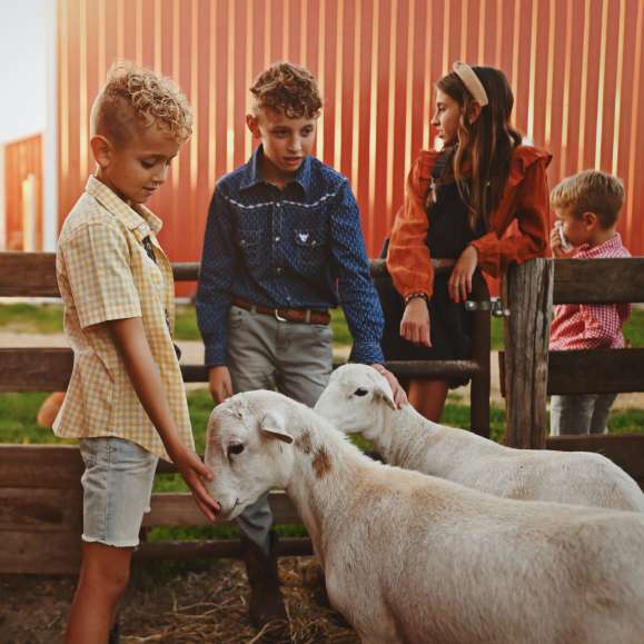 Day at the Farm: Picnic & Play