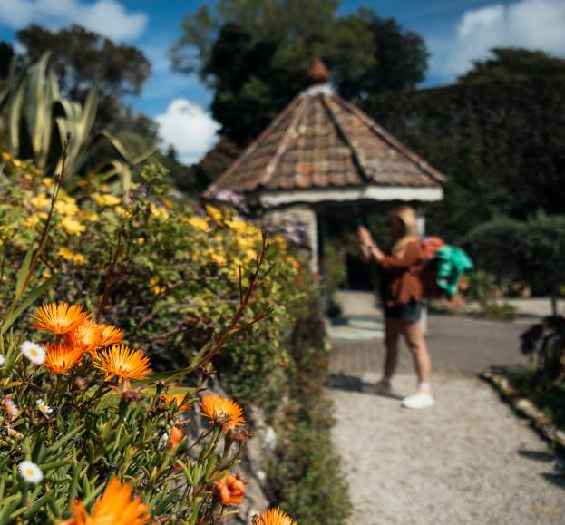 Aisles of flowers in front of the gazebo at Tresco Abbey Garden