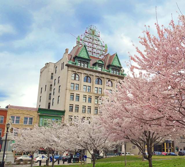 Spring Flowers in Downtown Scranton