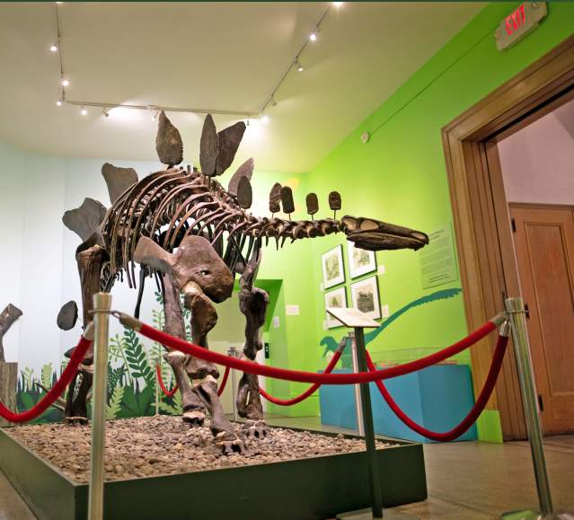 Everhart Museum dinosaur