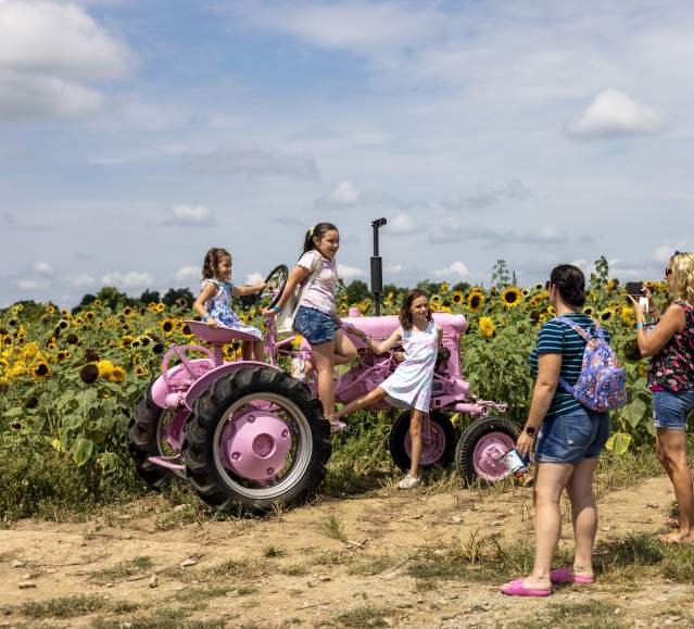 Lakeland Orchard & Cidery in Scott Township, PA