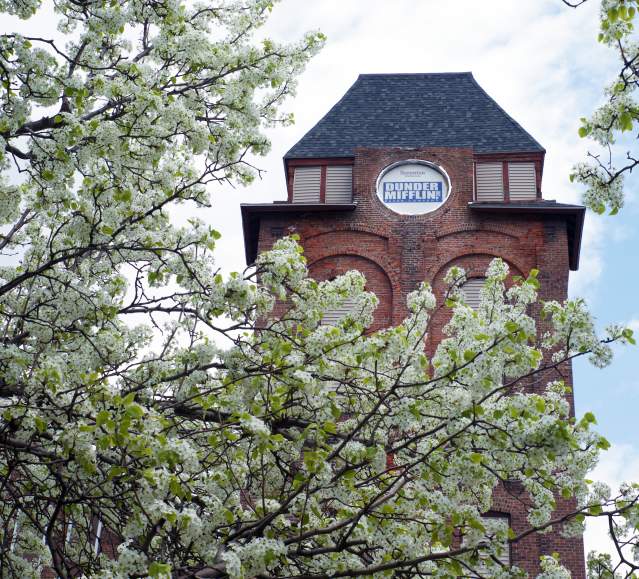 Spring Blossoms in front of the Dunder Mifflin sign on the Penn Paper Tower
