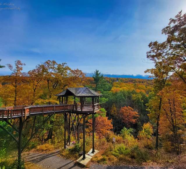 Fall Foliage at Nay Aug Park's Treehouse