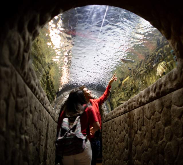 EC Aquarium
