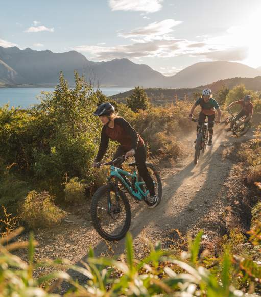 MTB