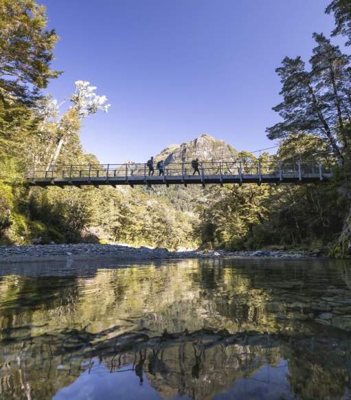 Suspended bridge over river surrounded by trees