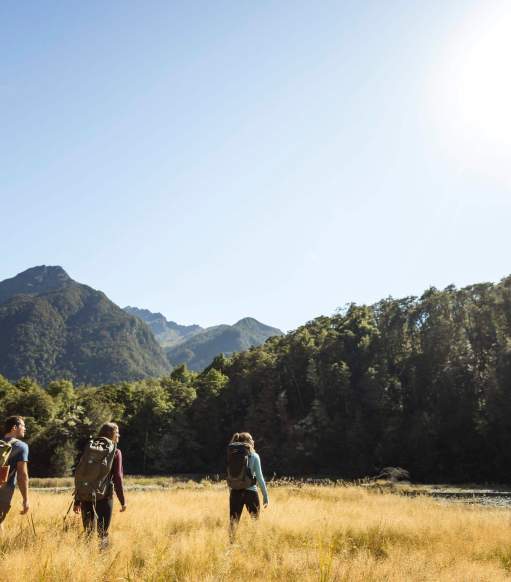 Routeburn - Walking and Hiking