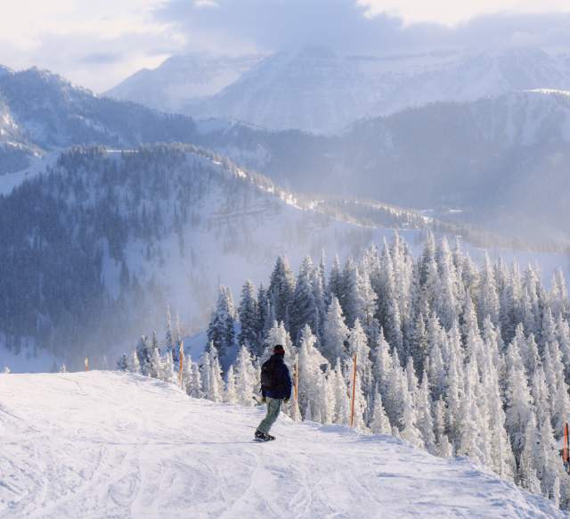 Snowboarder going down the Great Western at Brighton Resort, UT.
