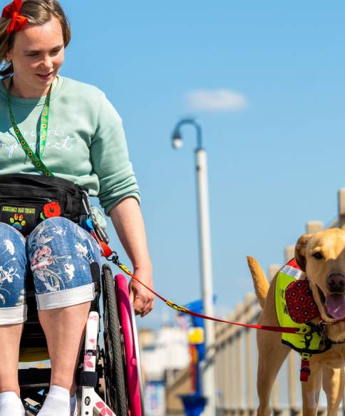 A wheelchair user and their dog on the Grand Pier at Weston-super-Mare near Bristol - credit The Grand Pier