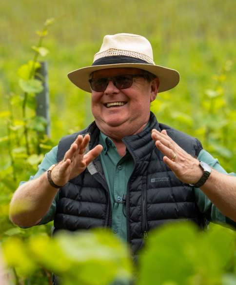 Man in vineyard at Aldwick Estate in North Somerset, near Bristol - credit Visit West