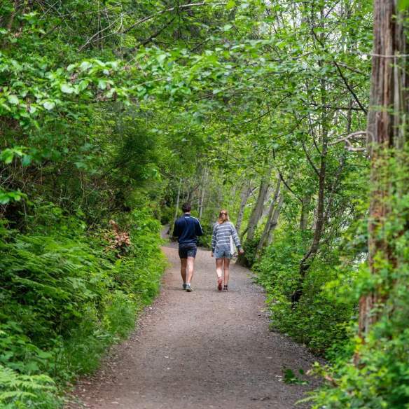 Two people waking on a gravel path through a forest.