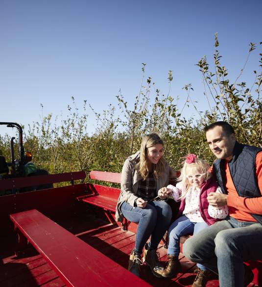 Quarry Hill hay ride orchard