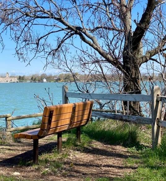 Massie Cliffside Preserve bench