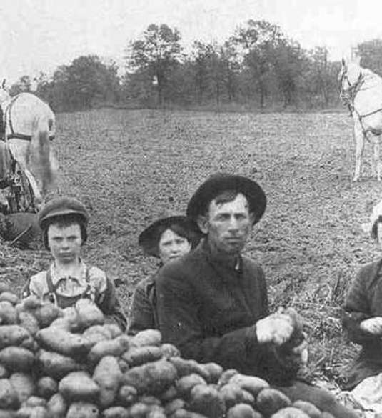 Historical Hoover potato digger