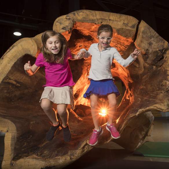 Delaware Children's Museum