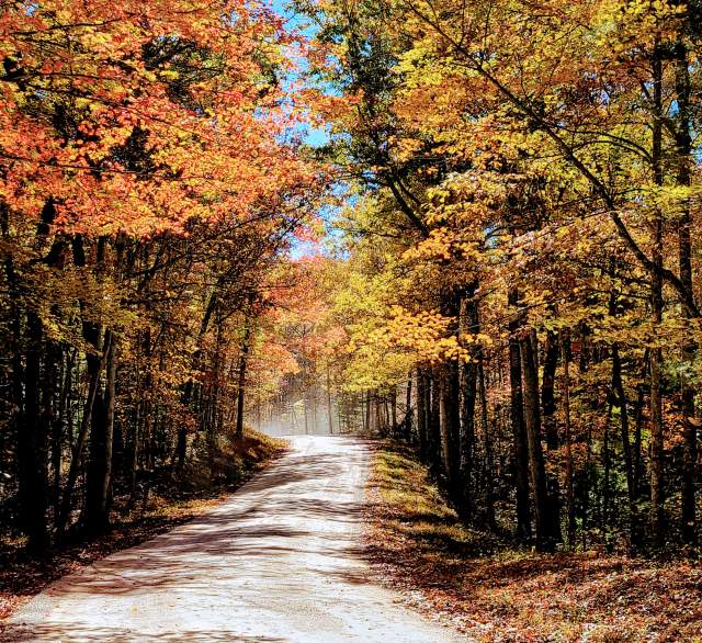 Wilderness Oak Road Scenic Views