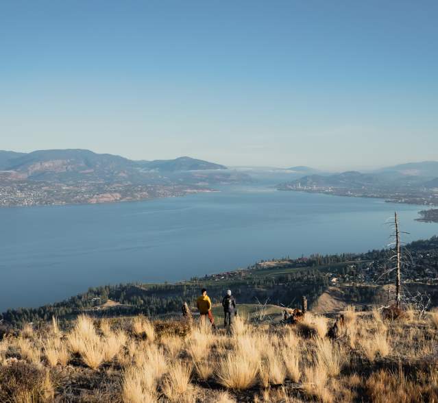 Couple_Hiking_at_Johns_Family_Nature_Conservancy_Regional_Park_Aerial_9_
