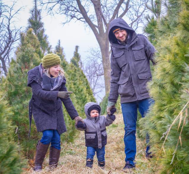 Family walking among Christmas trees