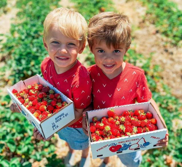 Children holding strawberries