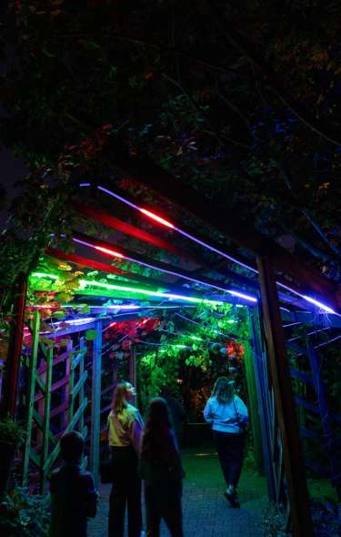 A group of three people walk under a neon-lit walkway in the dark at the GLEAM art exhibit at Olbrich Botanical Gardens