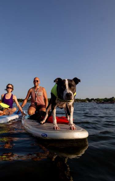 A dog stands on a paddleboard on Lake Monona while two adults ride on paddleboards behind the dog.