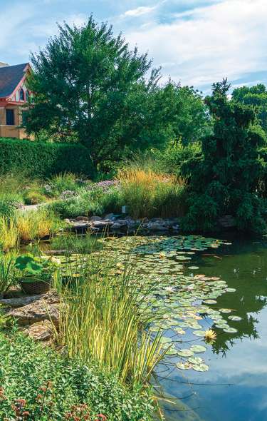 Lush greenery surrounds a pond dotted with lily pads. A brick building is in the background and a red bridge is seen going over the pond.