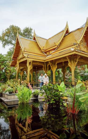 A wide shot of two people standing under the Thai Pavilion at Olbrich Botanical Gardens surrounded by a pond and lush greenery.