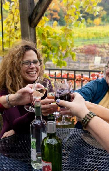 A group of white women cheersing their glasses of wine while sitting on a patio with fall colored trees behind them.