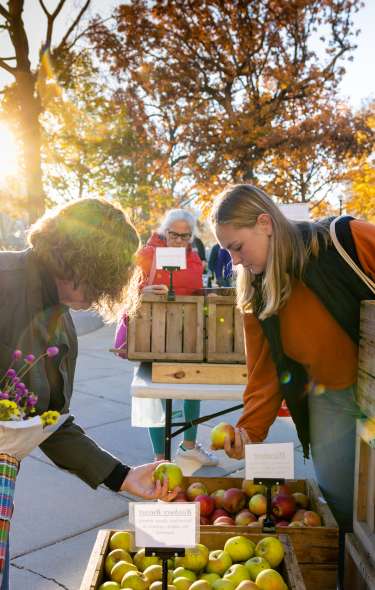 Two people browse apples at an outdoor farmers market, selecting fruit from wooden crates while standing near a colorful tote bag filled with flowers. Golden autumn trees and market stalls glow in the afternoon sunlight in the background.