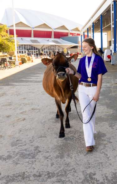 Person walking with a cow at the World Dairy Expo at Alliant Energy Center