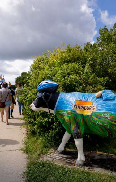 A white woman walks past a cow statue. The cow statue looks like the cow is wearing a bicycle helmet and a cycling jersey that says Fitchburg on it.